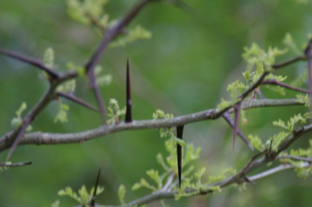 Imagen de la noticia: Subvenciones públicas en especie, equipos de prot ...